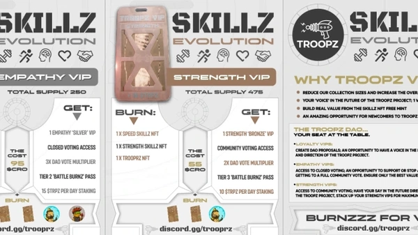 Troopz Strength 'Bronze' VIP - DAO Pass